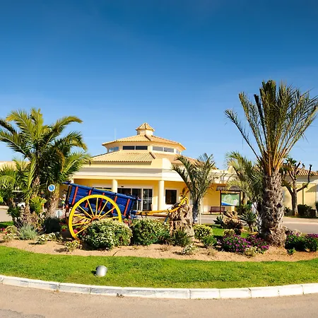 Ap Adriana 阿尔布费拉