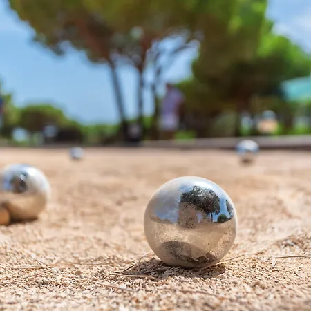 Ap Adriana 阿尔布费拉