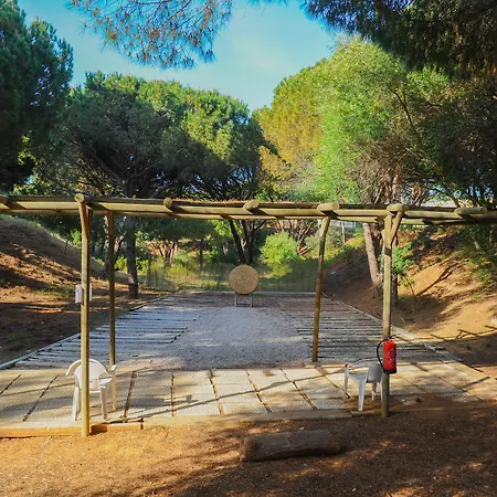 Ap Adriana אלבופיירה