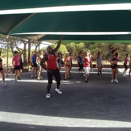 Ap Adriana אלבופיירה