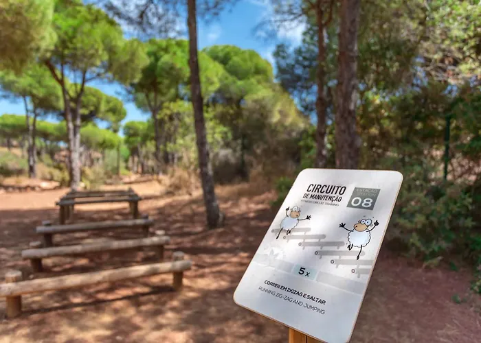 酒店 Ap Adriana 阿尔布费拉