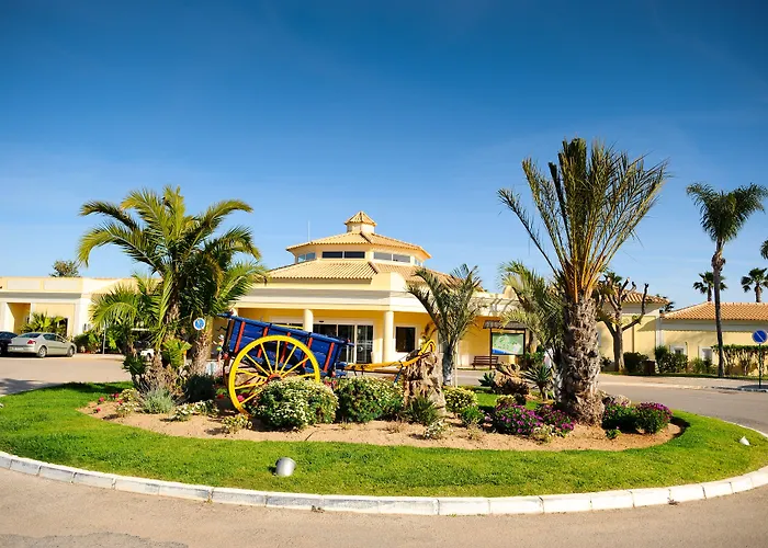 Ap Adriana 阿尔布费拉